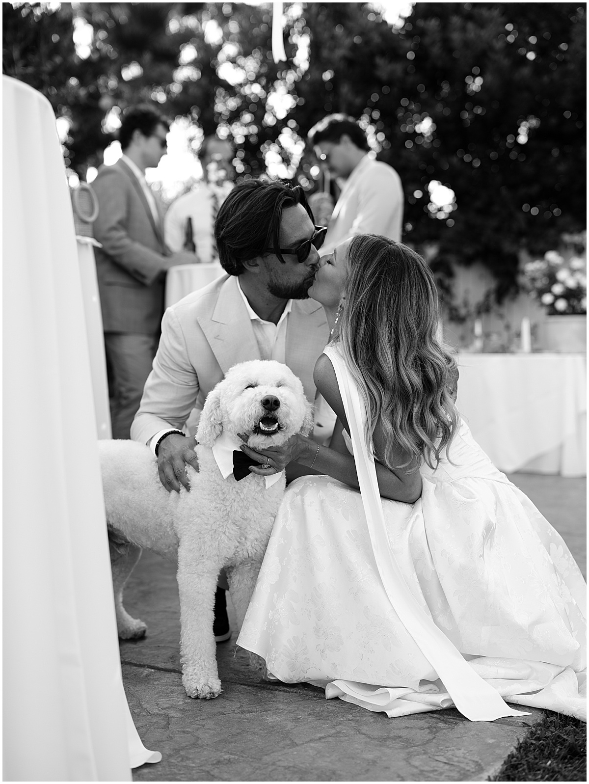 Bride and groom kissing whilst holding a dog wearing a tuxedo collar at backyard San Diego wedding