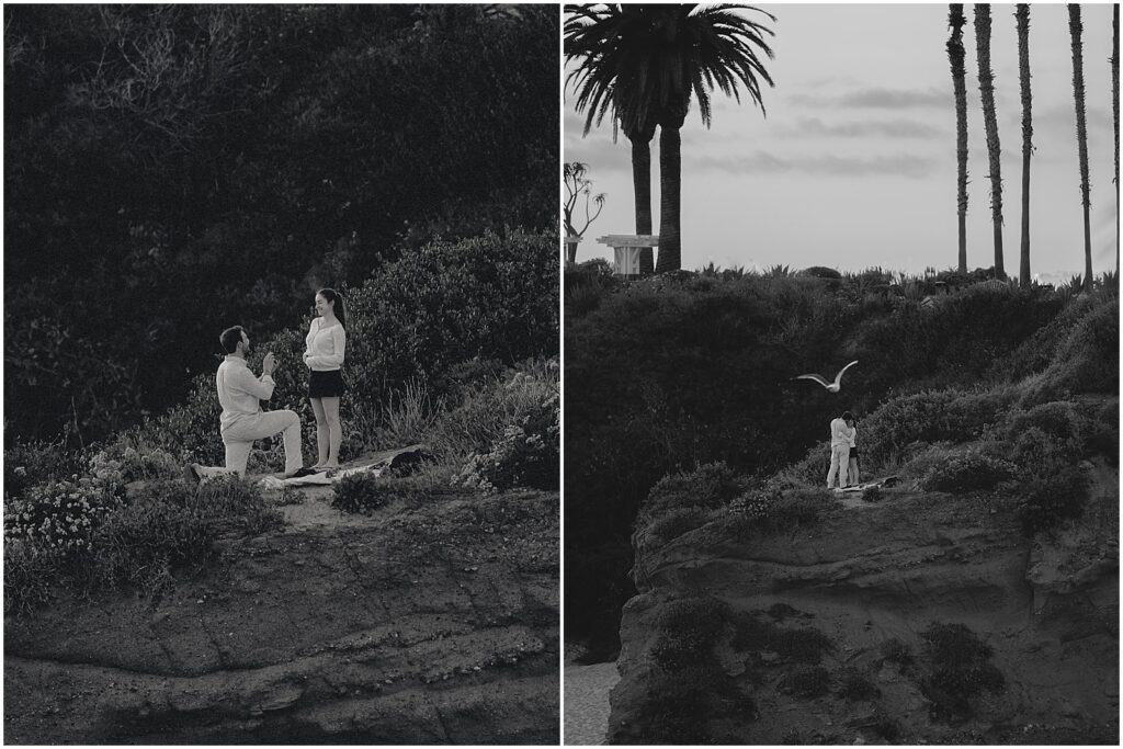 A beach proposal along the cliffs at the Montage Laguna in California